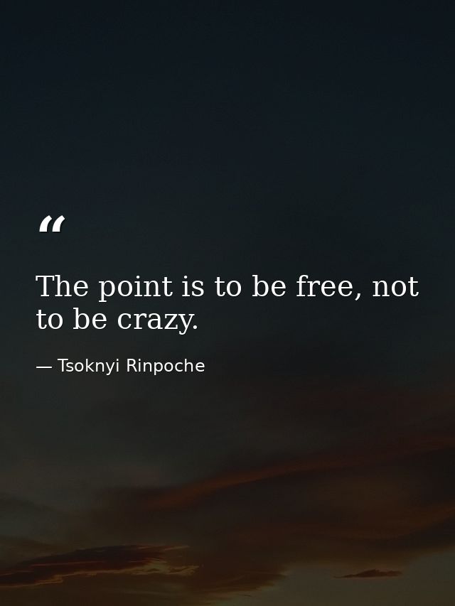 The point is to be free, not to be crazy. — Tsoknyi Rinpoche
