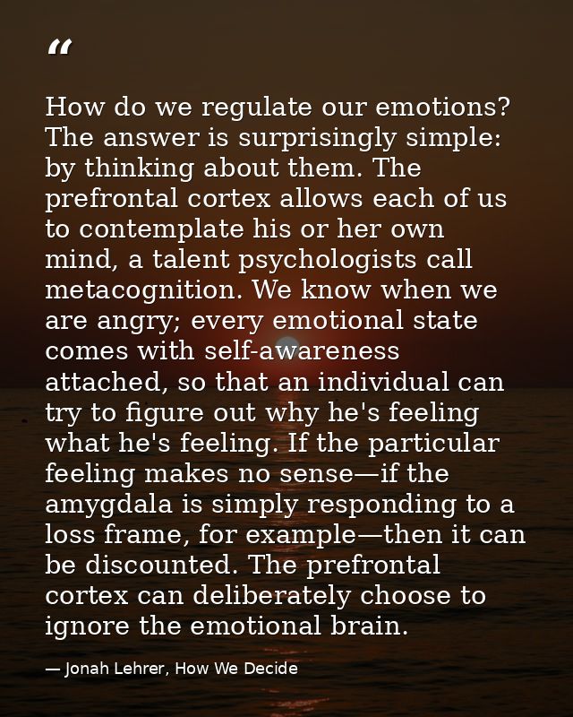 How do we regulate our emotions? The answer is surprisingly simple: by thinking about them. The prefrontal cortex allows — Jonah Lehrer, How We Decide