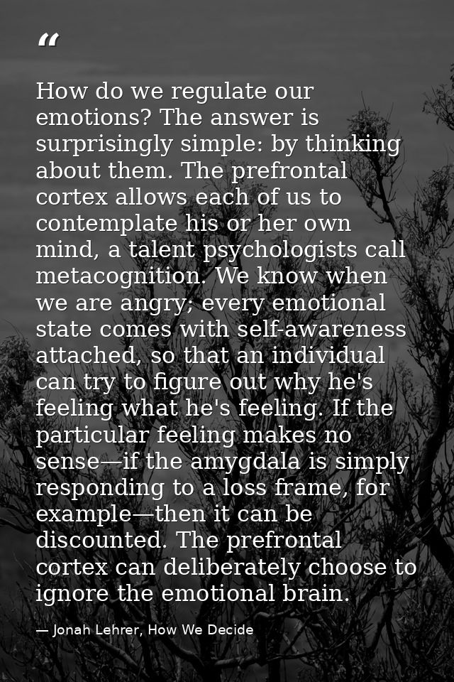How do we regulate our emotions? The answer is surprisingly simple: by thinking about them. The prefrontal cortex allows — Jonah Lehrer, How We Decide