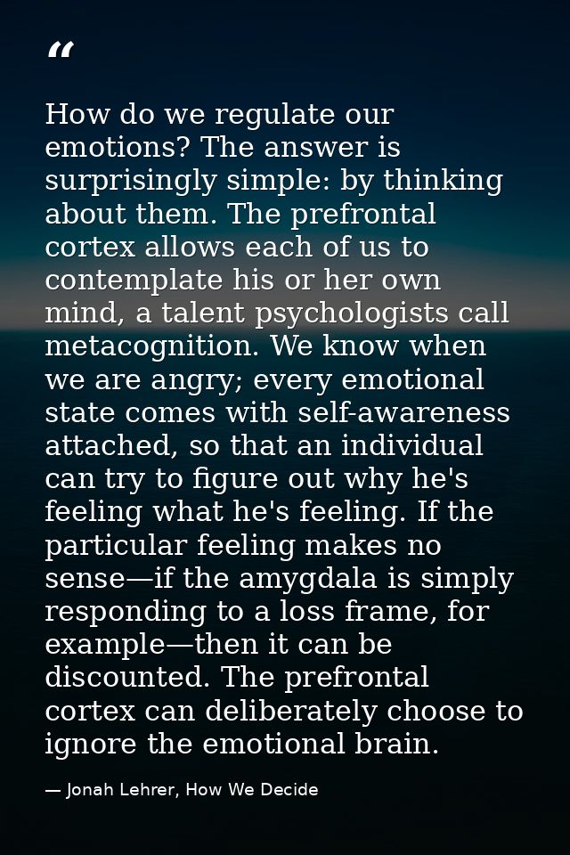 How do we regulate our emotions? The answer is surprisingly simple: by thinking about them. The prefrontal cortex allows — Jonah Lehrer, How We Decide