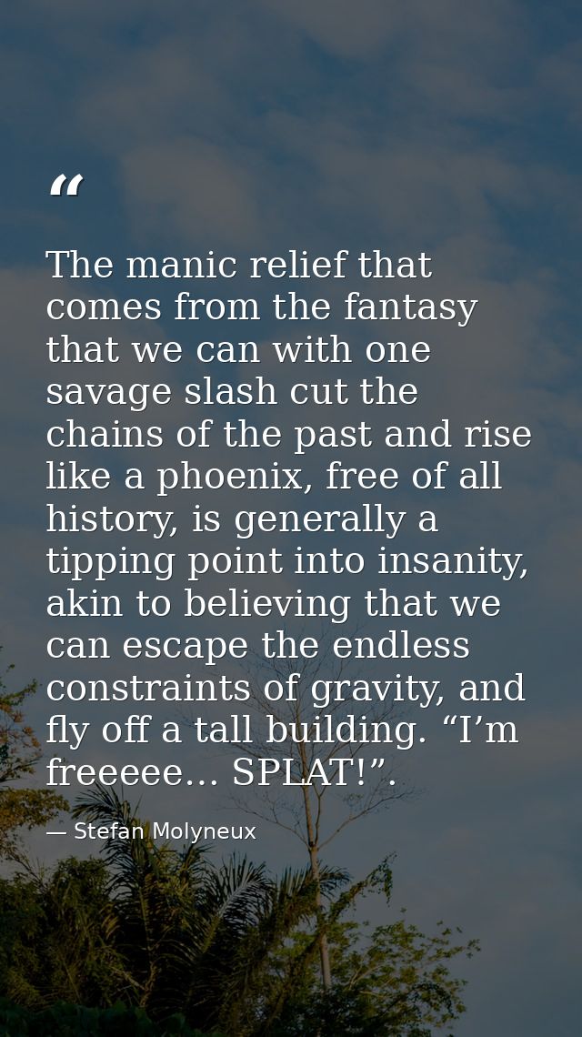 The manic relief that comes from the fantasy that we can with one savage slash cut the chains of the past and rise like  — Stefan Molyneux