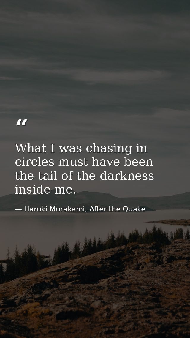What I was chasing in circles must have been the tail of the darkness inside me. — Haruki Murakami, After the Quake