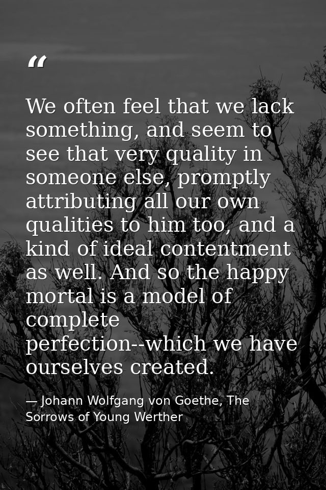 We often feel that we lack something, and seem to see that very quality in someone else, promptly attributing all our ow — Johann Wolfgang von Goethe, The Sorrows of Young Werther