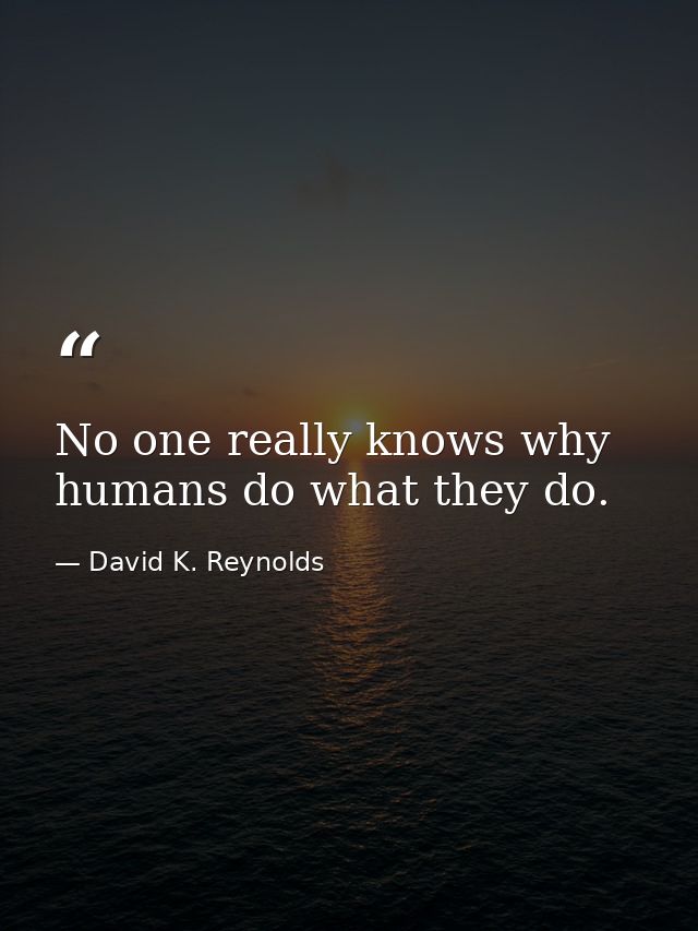 No one really knows why humans do what they do. — David K. Reynolds