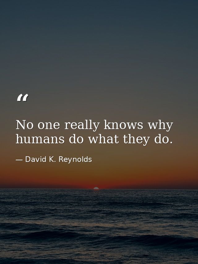 No one really knows why humans do what they do. — David K. Reynolds