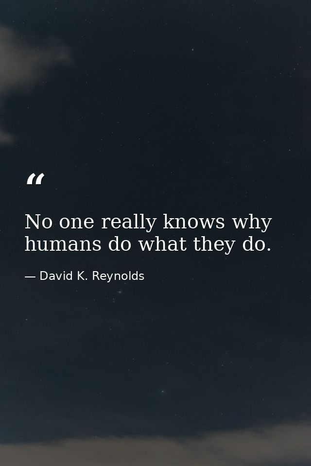 No one really knows why humans do what they do. — David K. Reynolds