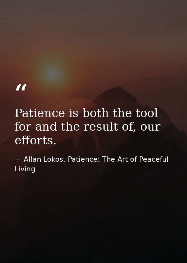 Patience is both the tool for and the result of, our efforts. — Allan Lokos, Patience: The Art of Peaceful Living