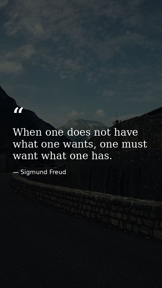 When one does not have what one wants, one must want what one has. — Sigmund Freud