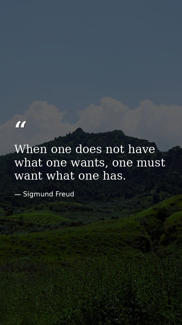 When one does not have what one wants, one must want what one has. — Sigmund Freud