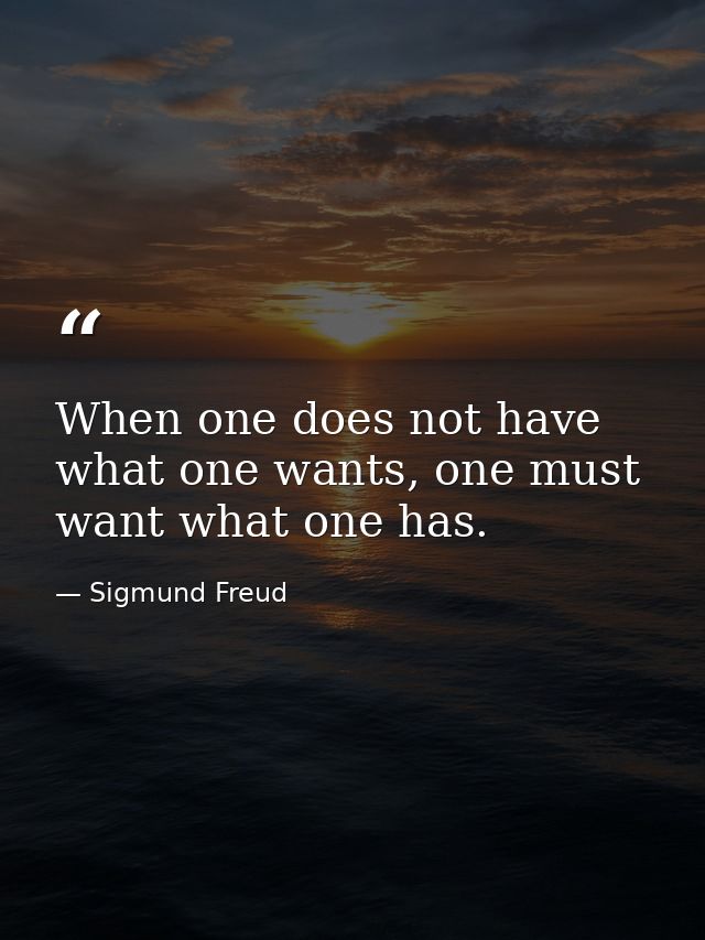When one does not have what one wants, one must want what one has. — Sigmund Freud