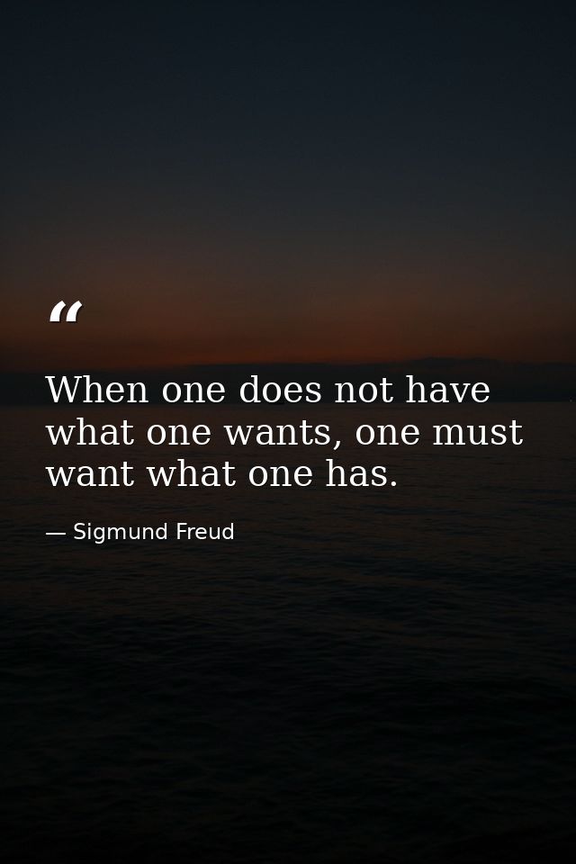 When one does not have what one wants, one must want what one has. — Sigmund Freud