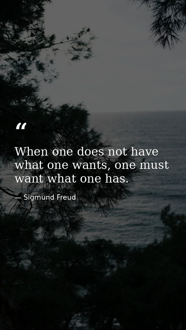 When one does not have what one wants, one must want what one has. — Sigmund Freud