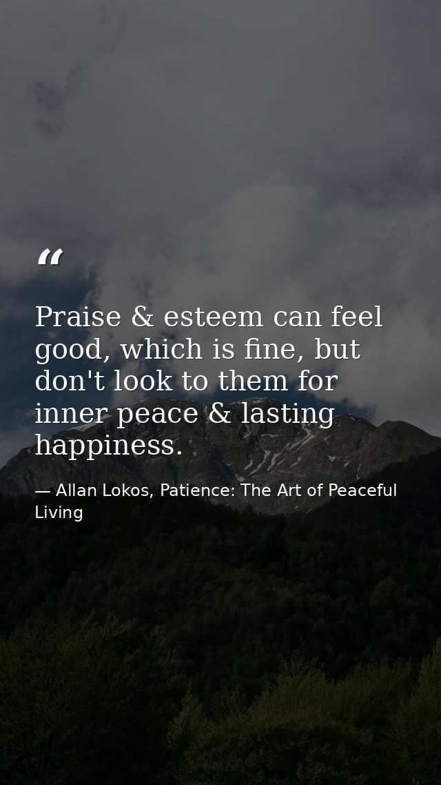 Praise & esteem can feel good, which is fine, but don't look to them for inner peace & lasting happiness. — Allan Lokos, Patience: The Art of Peaceful Living
