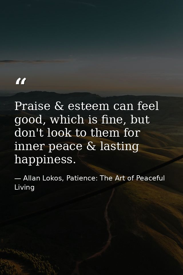 Praise & esteem can feel good, which is fine, but don't look to them for inner peace & lasting happiness. — Allan Lokos, Patience: The Art of Peaceful Living