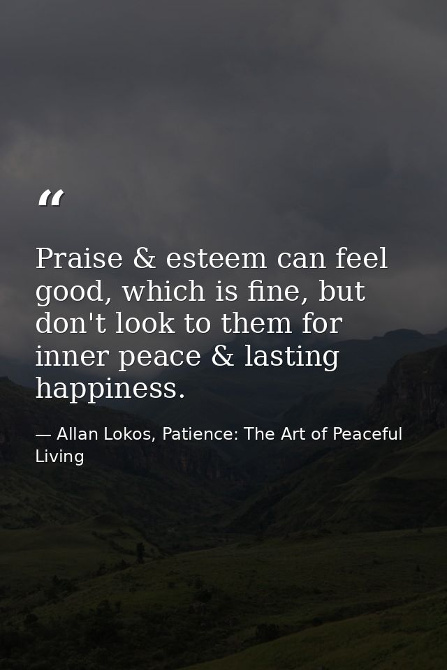 Praise & esteem can feel good, which is fine, but don't look to them for inner peace & lasting happiness. — Allan Lokos, Patience: The Art of Peaceful Living