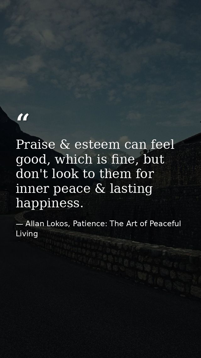 Praise & esteem can feel good, which is fine, but don't look to them for inner peace & lasting happiness. — Allan Lokos, Patience: The Art of Peaceful Living