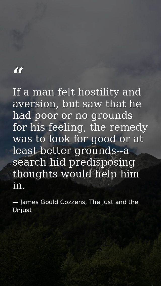 If a man felt hostility and aversion, but saw that he had poor or no grounds for his feeling, the remedy was to look for — James Gould Cozzens, The Just and the Unjust