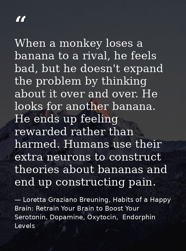 When a monkey loses a banana to a rival, he feels bad, but he doesn't expand the problem by thinking about it over and o — Loretta Graziano Breuning, Habits of a Happy Brain: Retrain Your Brain to Boost Your Serotonin, Dopamine, Oxytocin,  Endorphin Levels