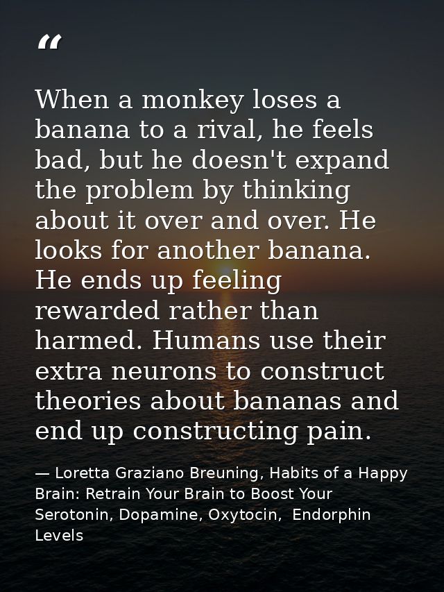 When a monkey loses a banana to a rival, he feels bad, but he doesn't expand the problem by thinking about it over and o — Loretta Graziano Breuning, Habits of a Happy Brain: Retrain Your Brain to Boost Your Serotonin, Dopamine, Oxytocin,  Endorphin Levels