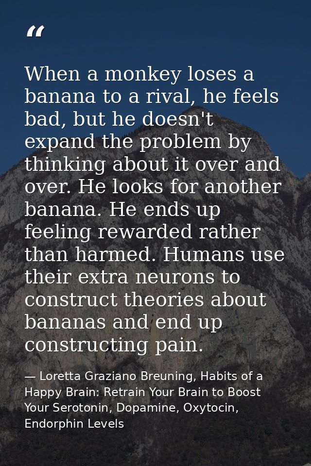 When a monkey loses a banana to a rival, he feels bad, but he doesn't expand the problem by thinking about it over and o — Loretta Graziano Breuning, Habits of a Happy Brain: Retrain Your Brain to Boost Your Serotonin, Dopamine, Oxytocin,  Endorphin Levels