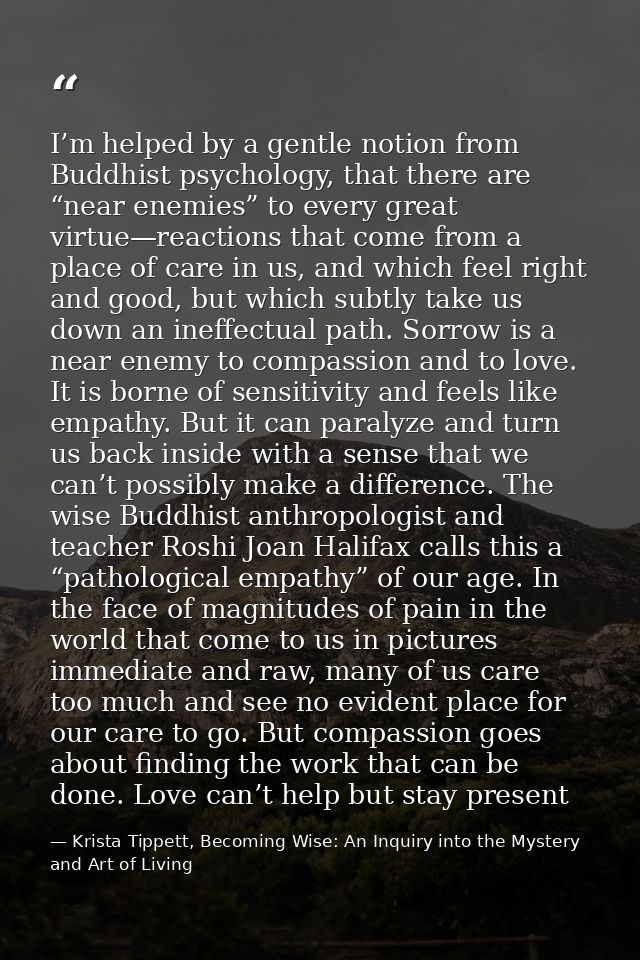 I’m helped by a gentle notion from Buddhist psychology, that there are “near enemies” to every great virtue—reactions th — Krista Tippett, Becoming Wise: An Inquiry into the Mystery and Art of Living