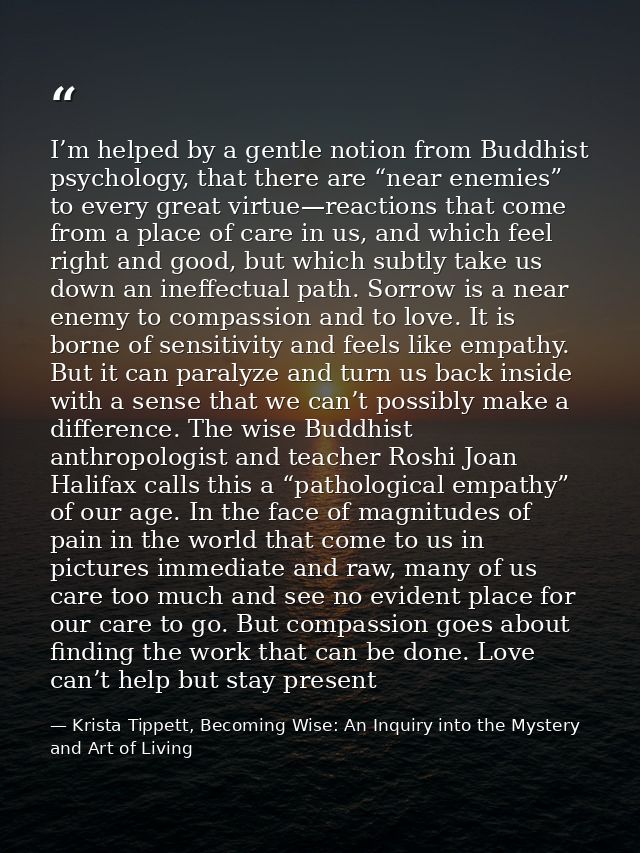 I’m helped by a gentle notion from Buddhist psychology, that there are “near enemies” to every great virtue—reactions th — Krista Tippett, Becoming Wise: An Inquiry into the Mystery and Art of Living