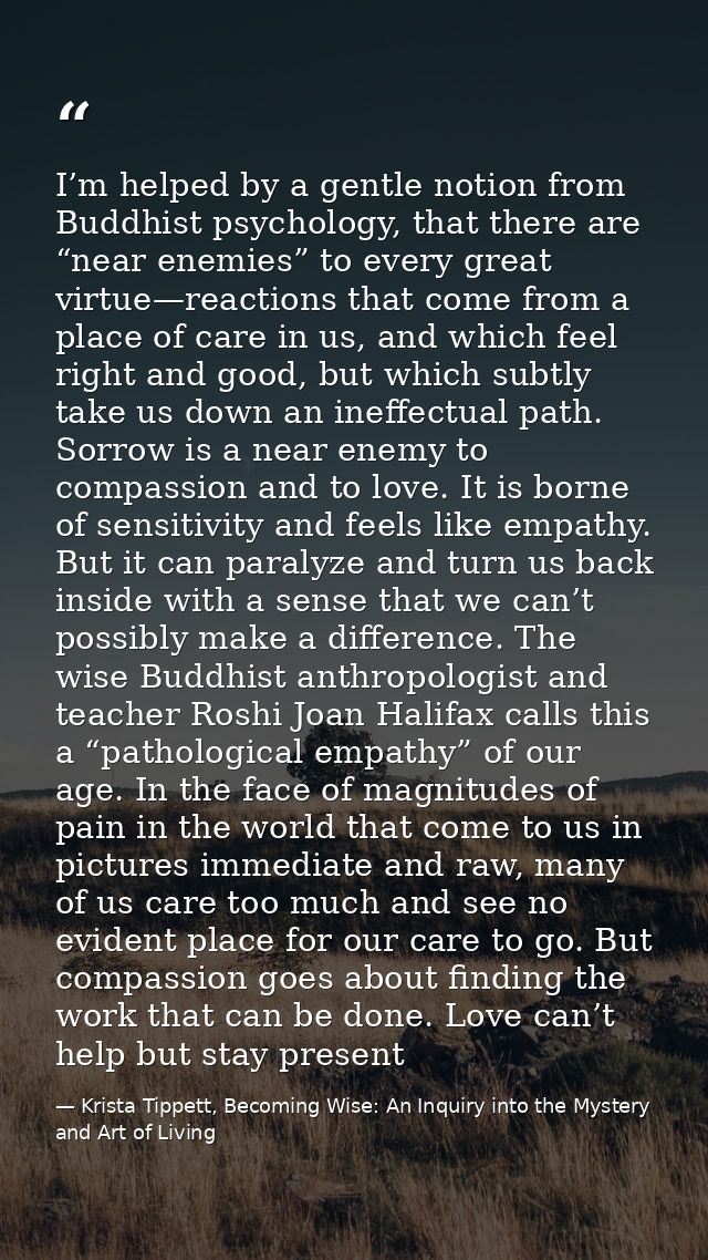I’m helped by a gentle notion from Buddhist psychology, that there are “near enemies” to every great virtue—reactions th — Krista Tippett, Becoming Wise: An Inquiry into the Mystery and Art of Living