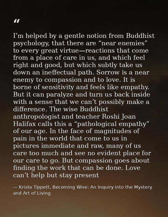 I’m helped by a gentle notion from Buddhist psychology, that there are “near enemies” to every great virtue—reactions th — Krista Tippett, Becoming Wise: An Inquiry into the Mystery and Art of Living