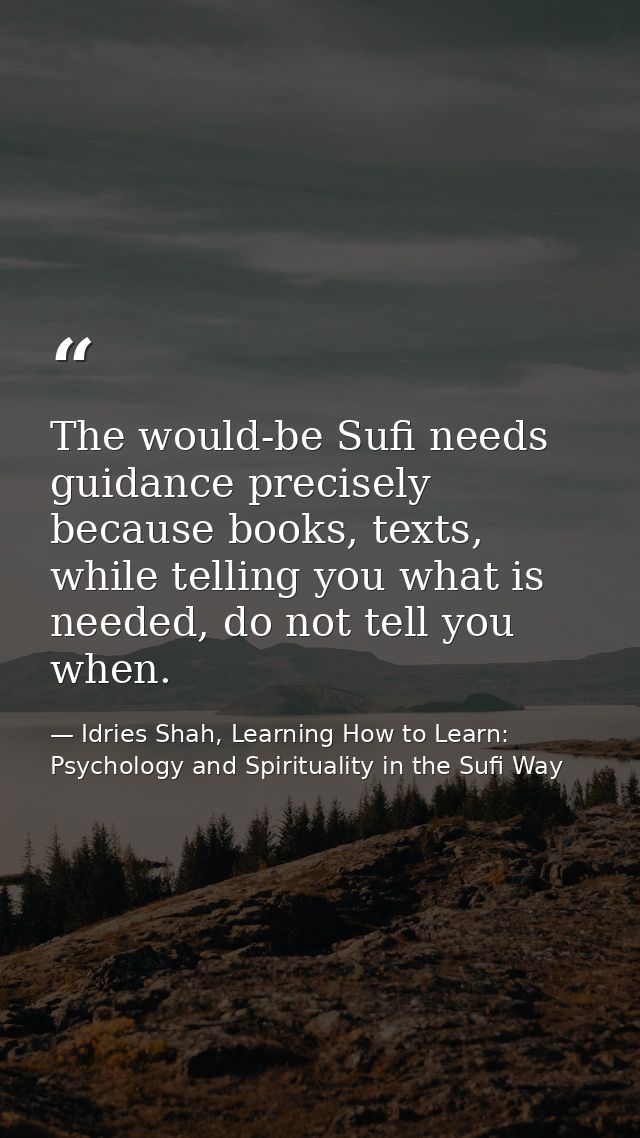 The would-be Sufi needs guidance precisely because books, texts, while telling you what is needed, do not tell you when. — Idries Shah, Learning How to Learn: Psychology and Spirituality in the Sufi Way