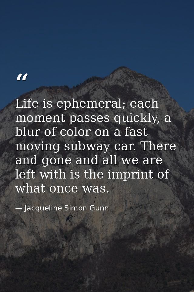 Life is ephemeral; each moment passes quickly, a blur of color on a fast moving subway car. There and gone and all we ar — Jacqueline Simon Gunn