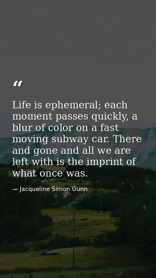 Life is ephemeral; each moment passes quickly, a blur of color on a fast moving subway car. There and gone and all we ar — Jacqueline Simon Gunn