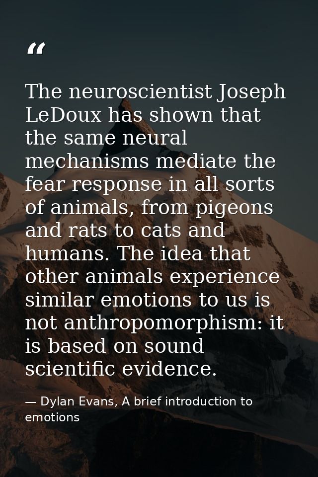 The neuroscientist Joseph LeDoux has shown that the same neural mechanisms mediate the fear response in all sorts of ani — Dylan Evans, A brief introduction to emotions
