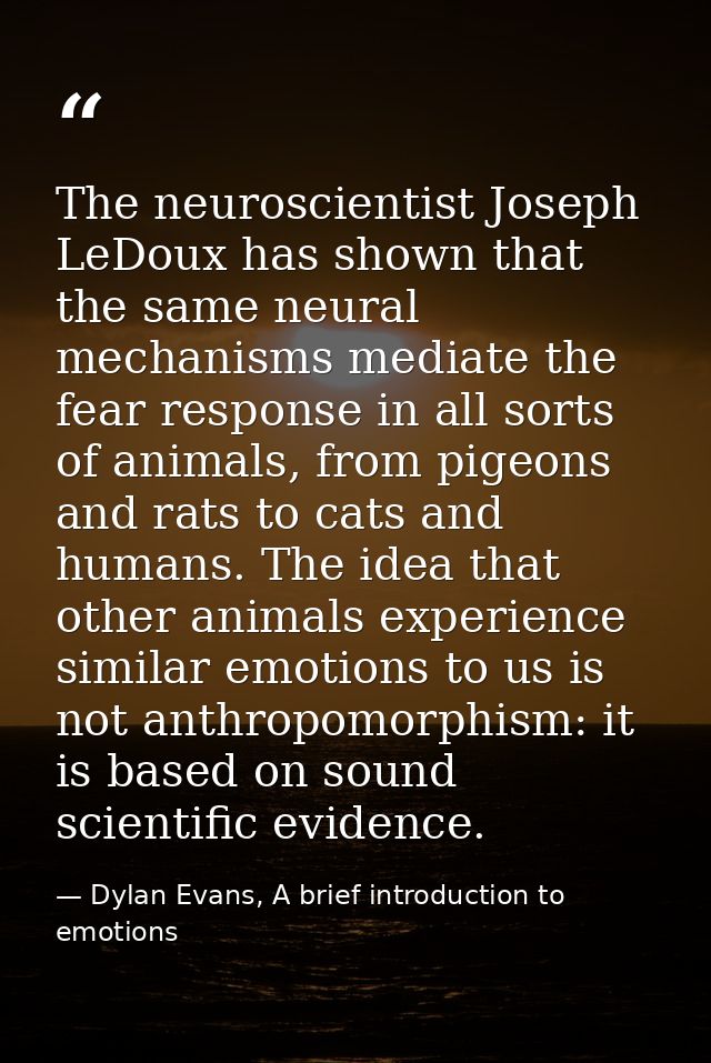 The neuroscientist Joseph LeDoux has shown that the same neural mechanisms mediate the fear response in all sorts of ani — Dylan Evans, A brief introduction to emotions