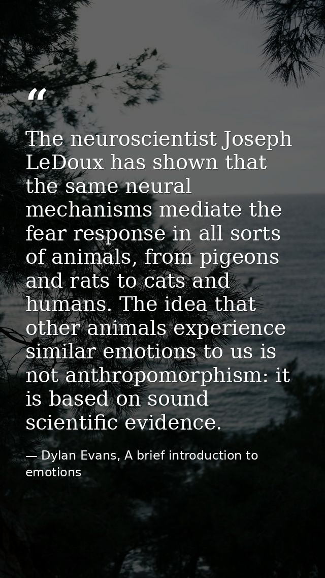 The neuroscientist Joseph LeDoux has shown that the same neural mechanisms mediate the fear response in all sorts of ani — Dylan Evans, A brief introduction to emotions