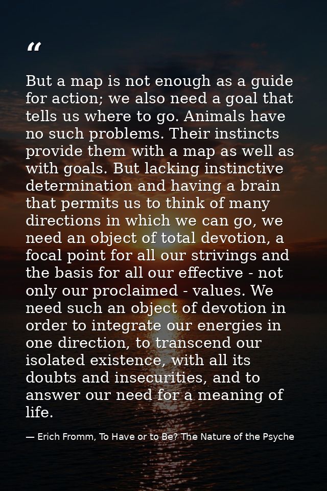 But a map is not enough as a guide for action; we also need a goal that tells us where to go. Animals have no such probl — Erich Fromm, To Have or to Be? The Nature of the Psyche