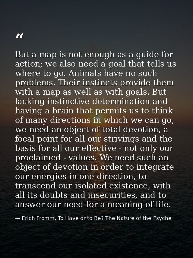 But a map is not enough as a guide for action; we also need a goal that tells us where to go. Animals have no such probl — Erich Fromm, To Have or to Be? The Nature of the Psyche