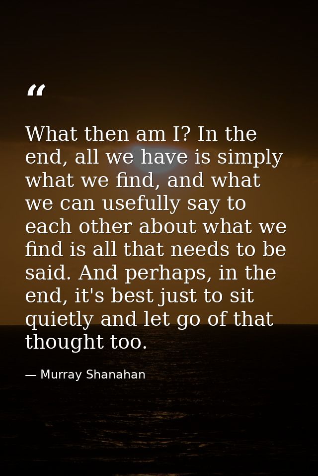 What then am I? In the end, all we have is simply what we find, and what we can usefully say to each other about what we — Murray Shanahan