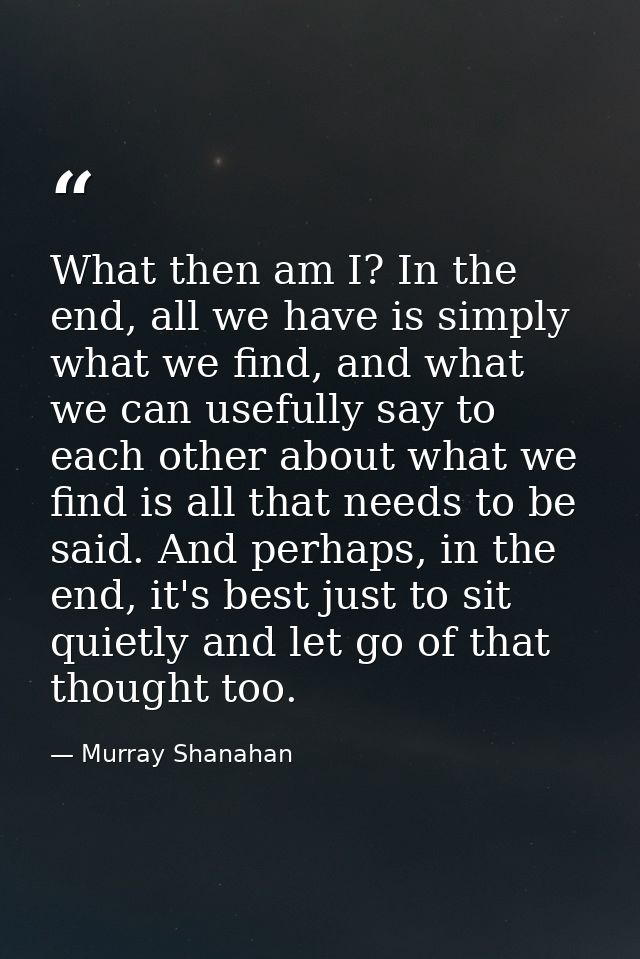 What then am I? In the end, all we have is simply what we find, and what we can usefully say to each other about what we — Murray Shanahan