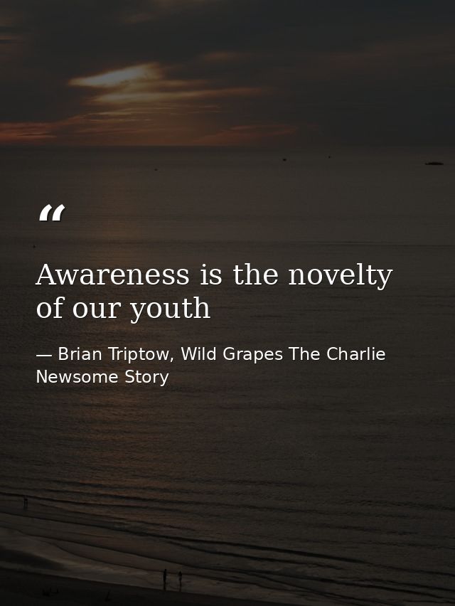 Awareness is the novelty of our youth — Brian Triptow, Wild Grapes The Charlie Newsome Story