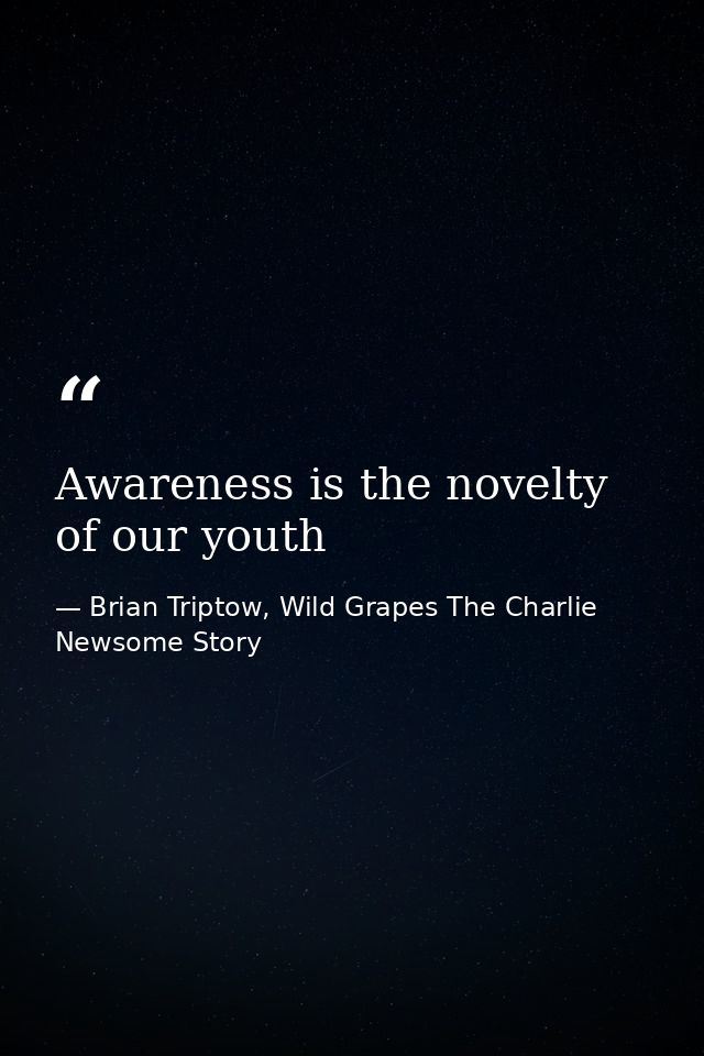 Awareness is the novelty of our youth — Brian Triptow, Wild Grapes The Charlie Newsome Story