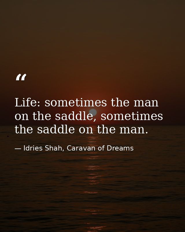 Life: sometimes the man on the saddle, sometimes the saddle on the man. — Idries Shah, Caravan of Dreams