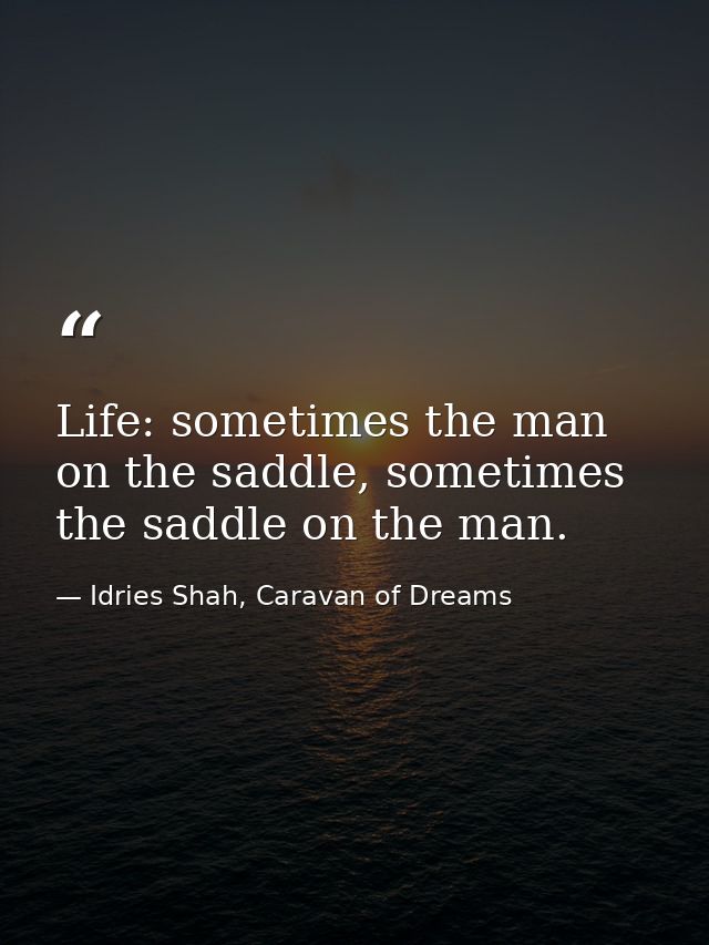 Life: sometimes the man on the saddle, sometimes the saddle on the man. — Idries Shah, Caravan of Dreams