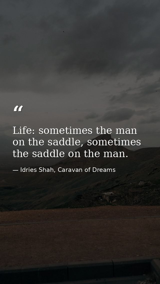 Life: sometimes the man on the saddle, sometimes the saddle on the man. — Idries Shah, Caravan of Dreams