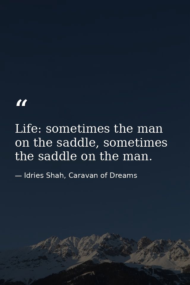 Life: sometimes the man on the saddle, sometimes the saddle on the man. — Idries Shah, Caravan of Dreams