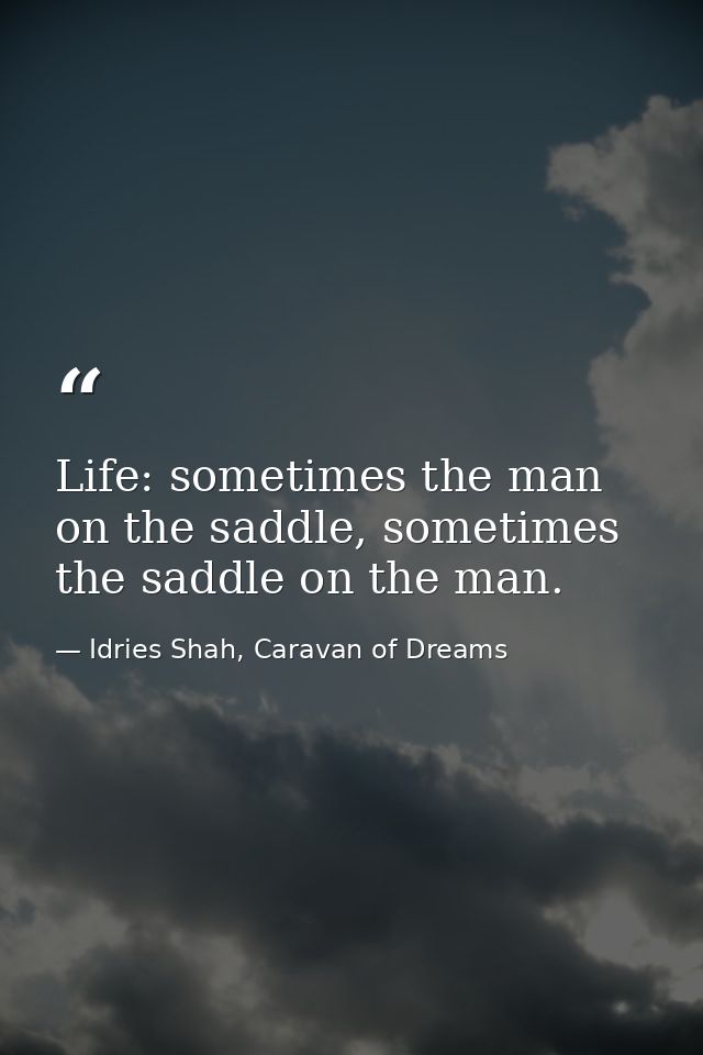 Life: sometimes the man on the saddle, sometimes the saddle on the man. — Idries Shah, Caravan of Dreams