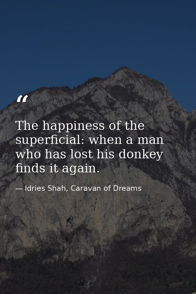 The happiness of the superficial: when a man who has lost his donkey finds it again. — Idries Shah, Caravan of Dreams