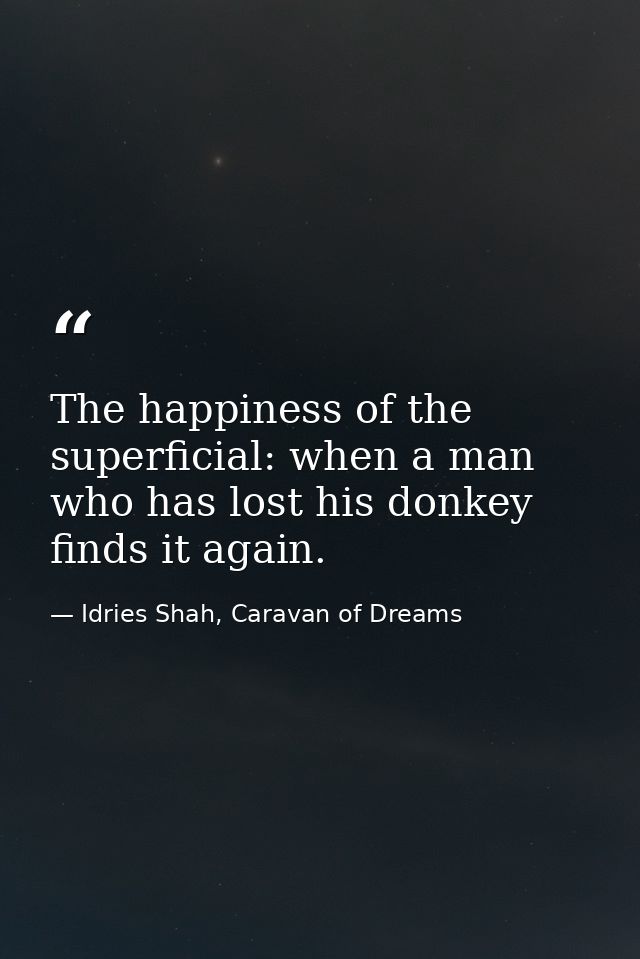 The happiness of the superficial: when a man who has lost his donkey finds it again. — Idries Shah, Caravan of Dreams