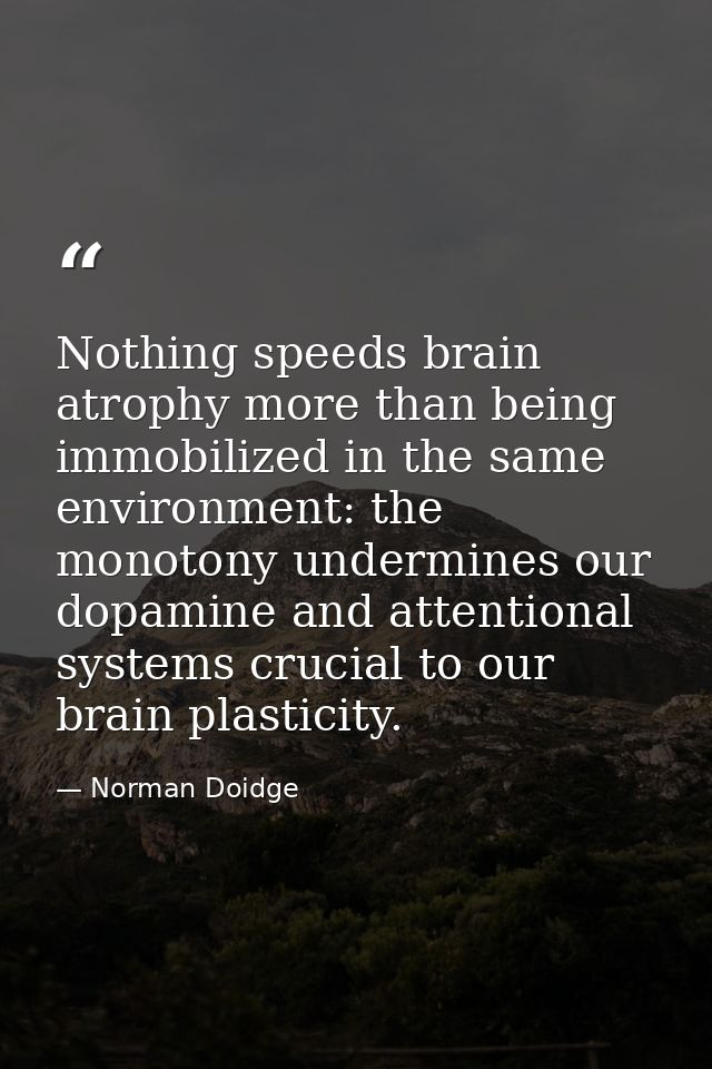 Nothing speeds brain atrophy more than being immobilized in the same environment: the monotony undermines our dopamine a — Norman Doidge