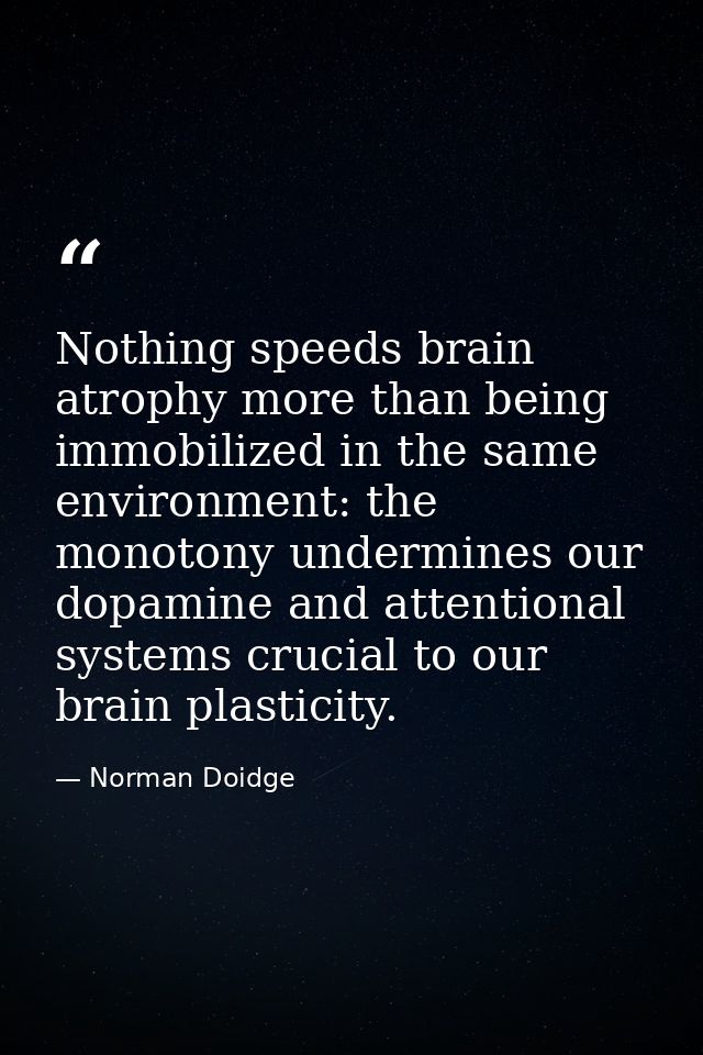 Nothing speeds brain atrophy more than being immobilized in the same environment: the monotony undermines our dopamine a — Norman Doidge