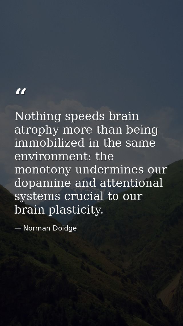 Nothing speeds brain atrophy more than being immobilized in the same environment: the monotony undermines our dopamine a — Norman Doidge